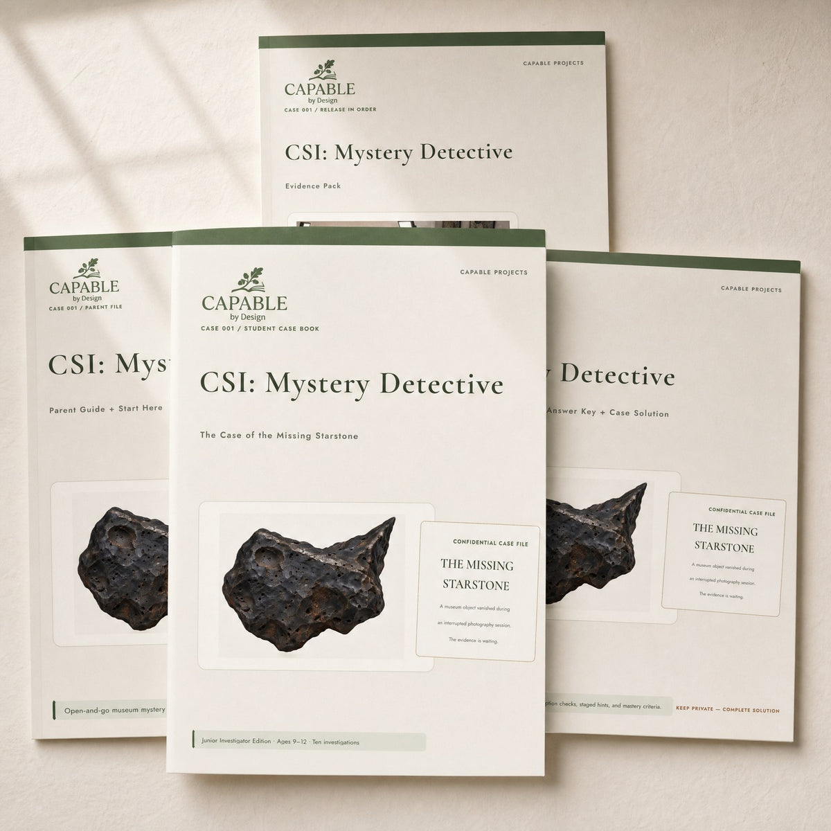 Four printable files included with CSI Mystery Detective: The Case of the Missing Starstone
